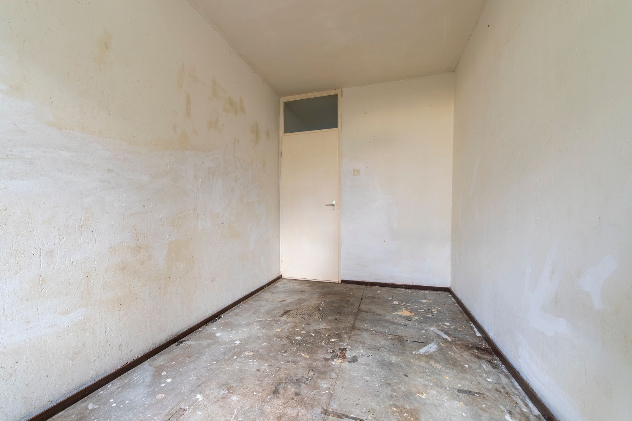 Foto 15 van Pollux 113