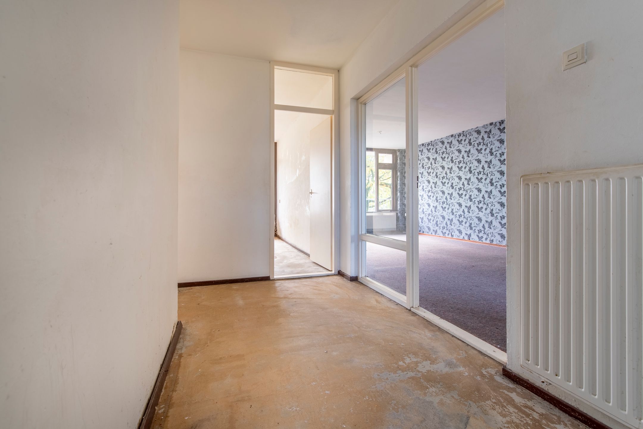 Foto 21 van Pollux 113