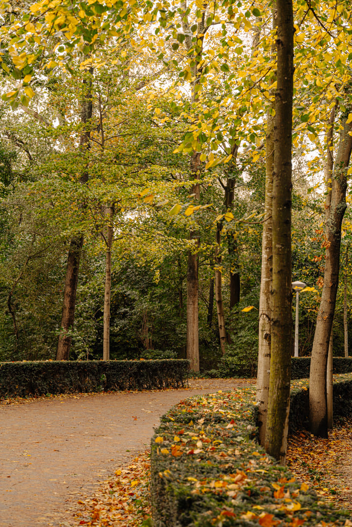 Foto 41 van Johannes Verhulststraat 143-B