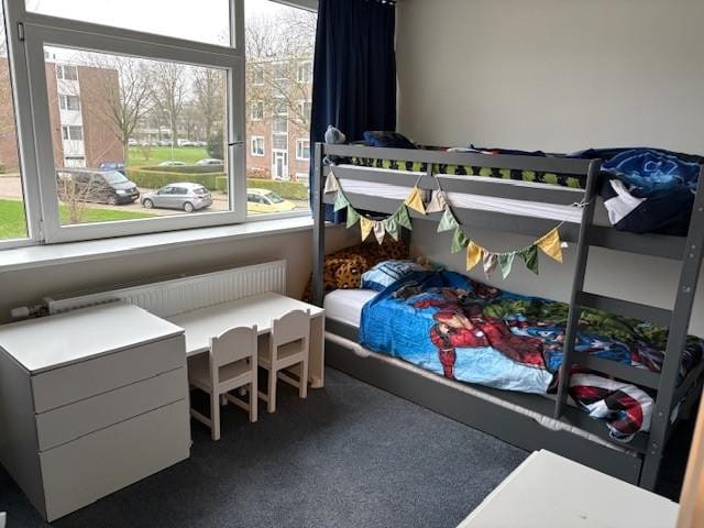 Foto 59 van Marningeweg 8