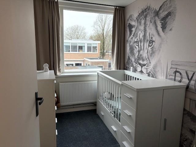 Foto 37 van Marningeweg 8