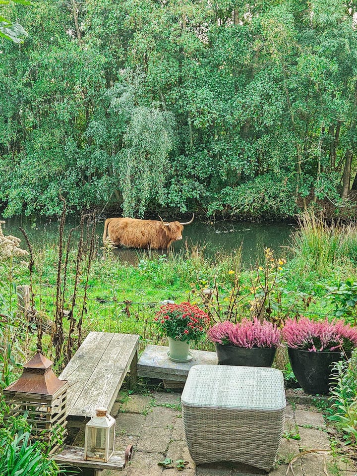 Foto 37 van Mostheuvelstraat 119