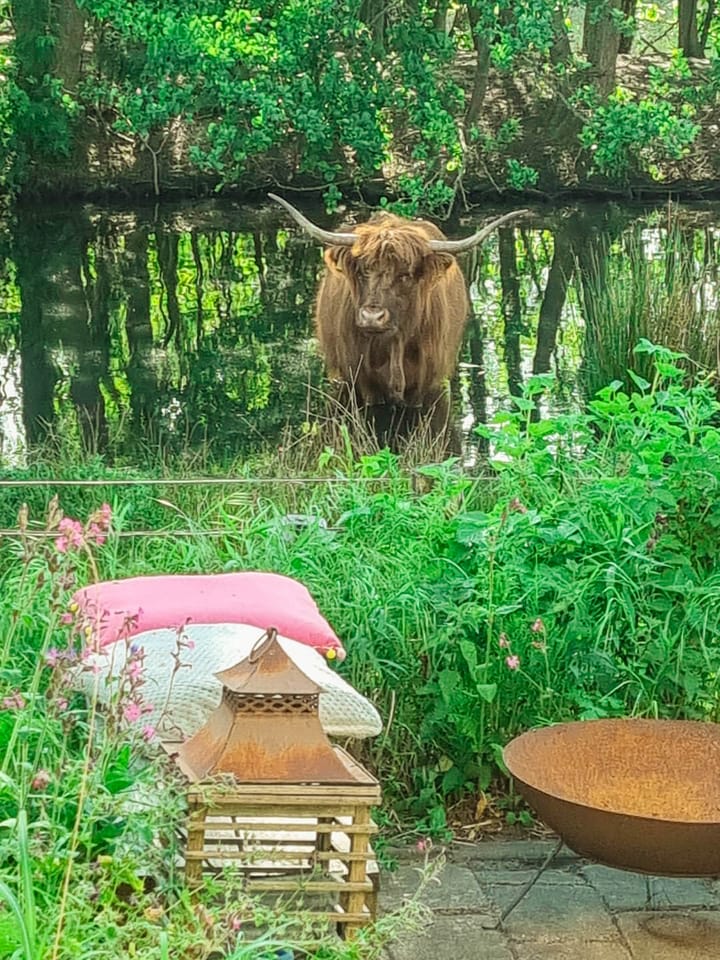 Foto 38 van Mostheuvelstraat 119