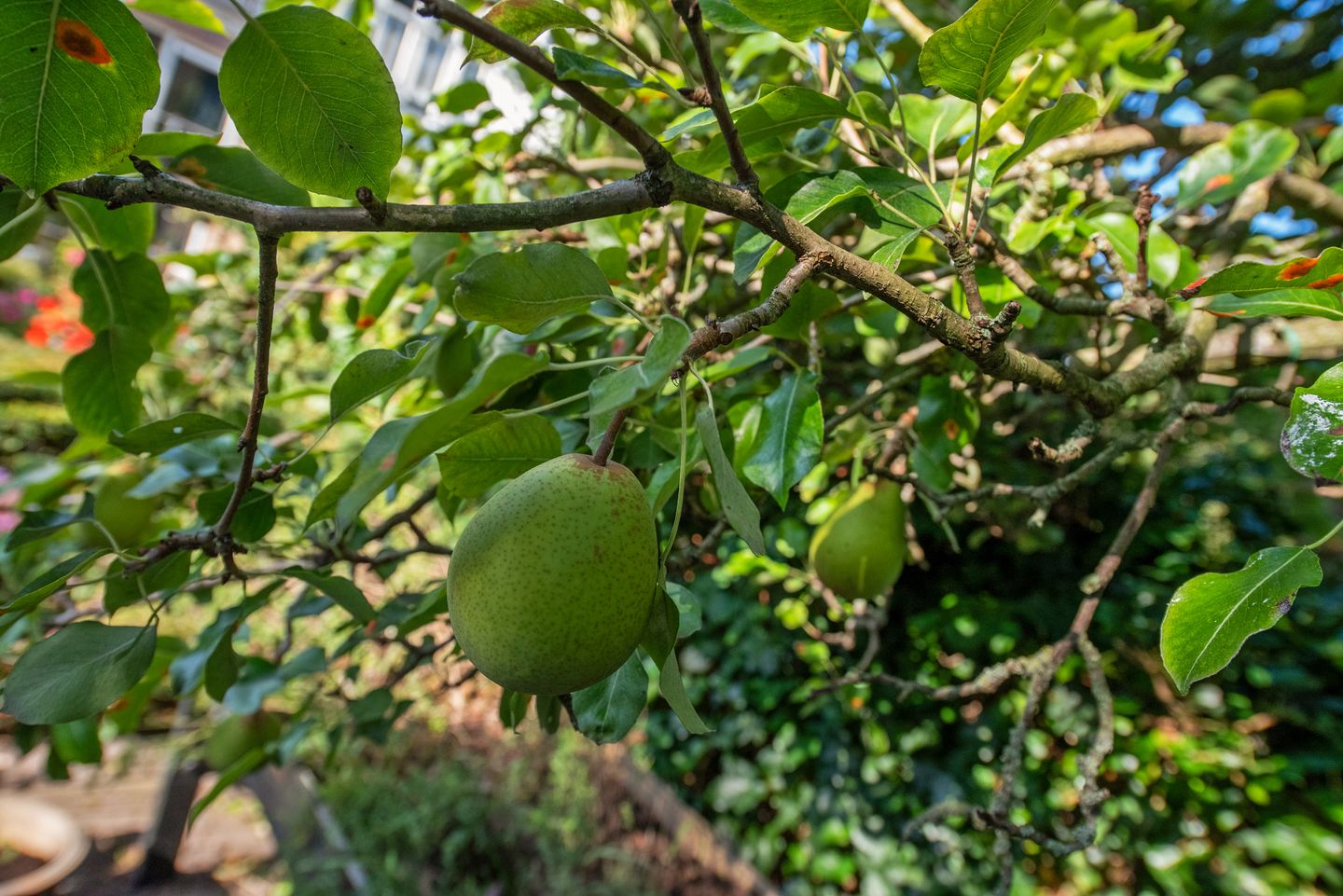 Foto 29 van Prins Hendriklaan 11