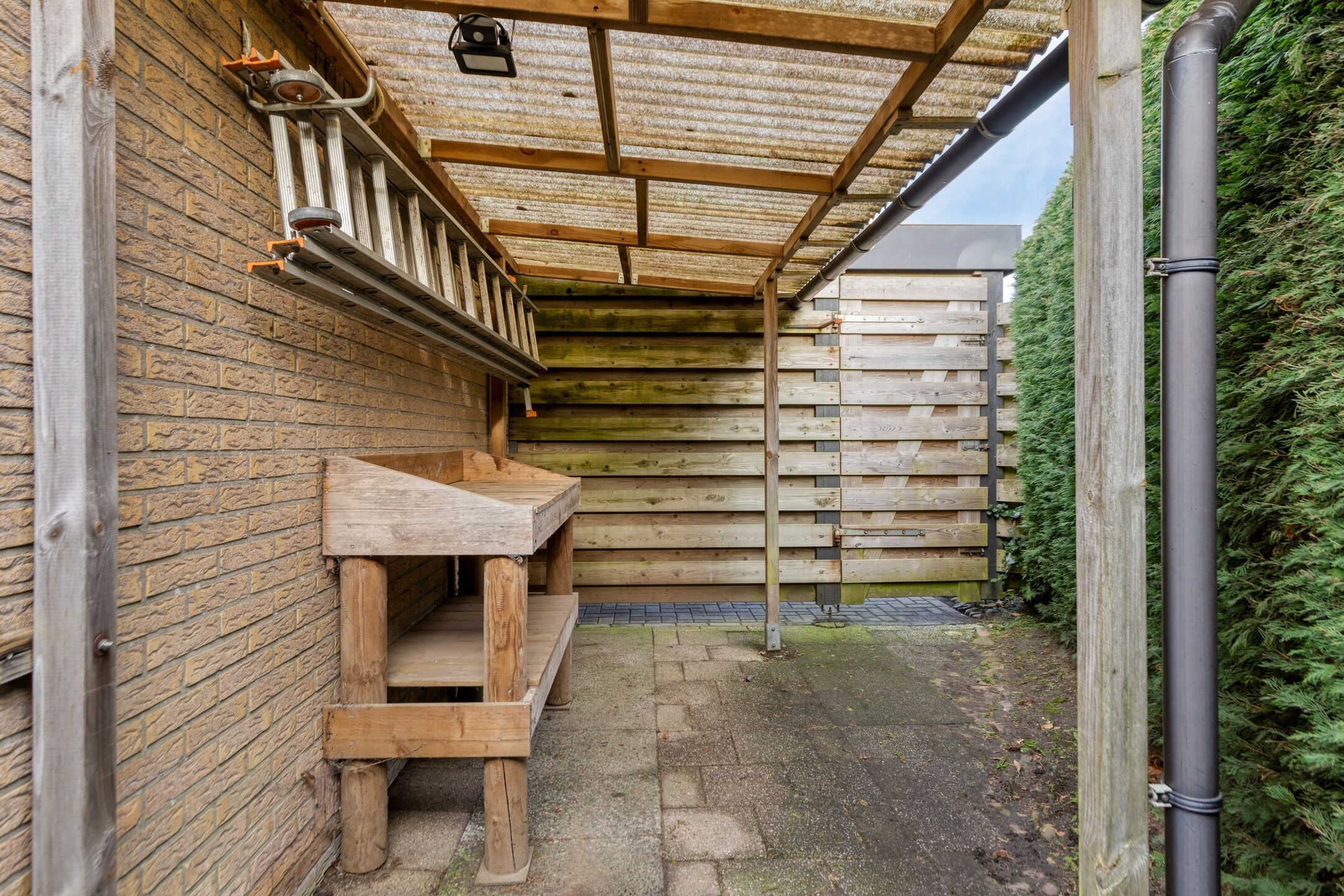 Photo 42 of Het Schild 41