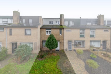 Spechtstraat thumbnail