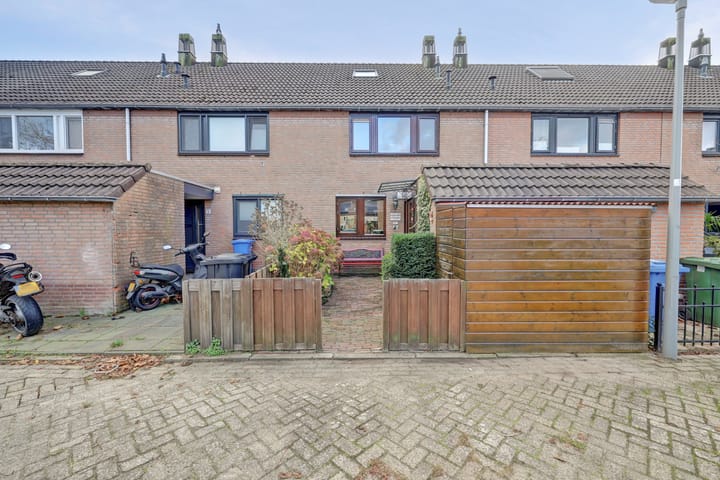 Papaver 7 main image