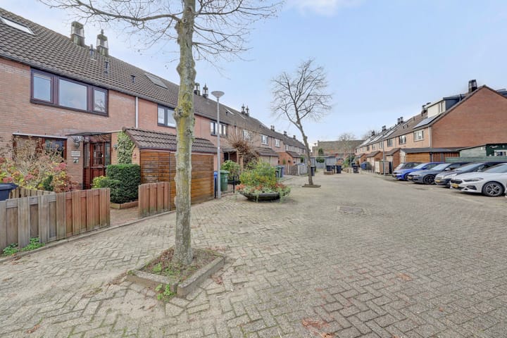 Photo 6 of Papaver 7