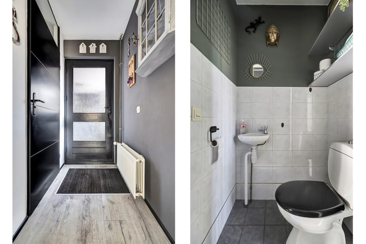 Photo 9 of Papaver 7