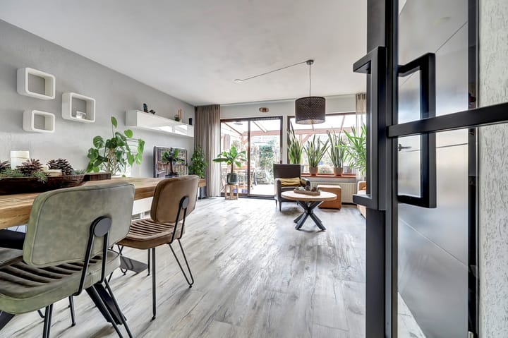 Photo 11 of Papaver 7