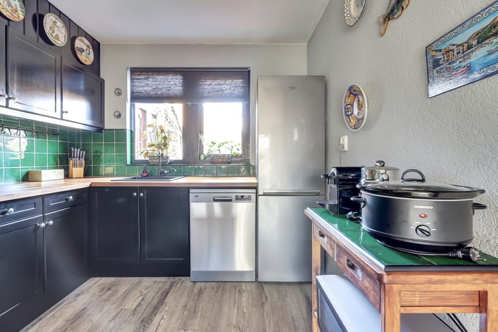 Photo 13 of Papaver 7