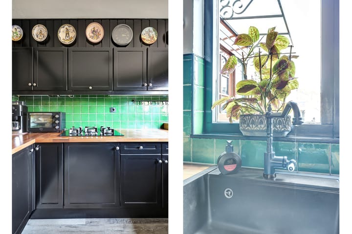 Photo 15 of Papaver 7