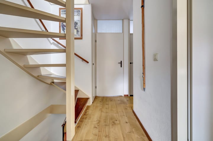 Photo 16 of Papaver 7