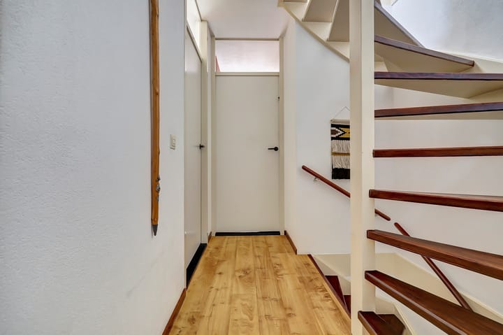 Photo 17 of Papaver 7