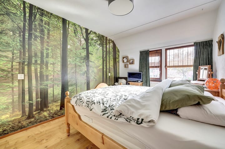 Photo 18 of Papaver 7