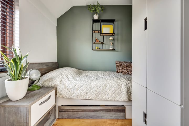 Photo 23 of Papaver 7