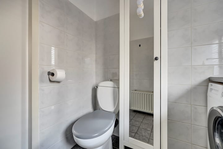 Photo 27 of Papaver 7