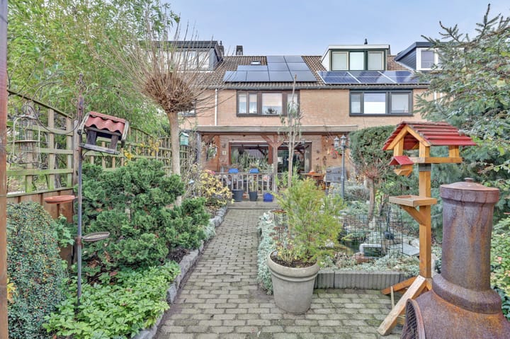 Photo 31 of Papaver 7