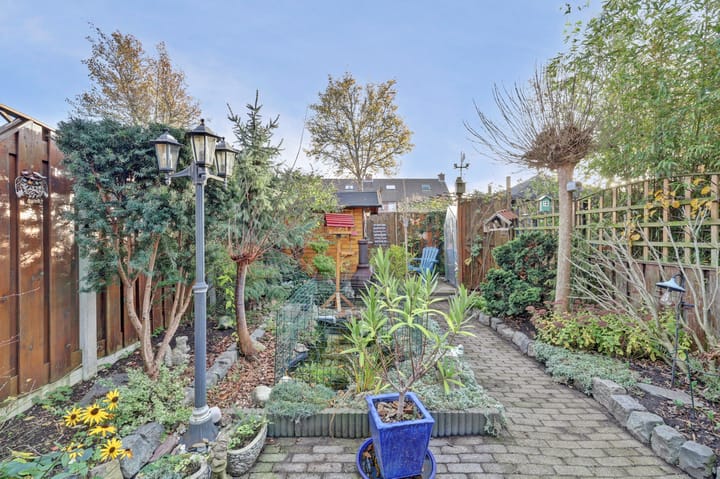 Photo 32 of Papaver 7