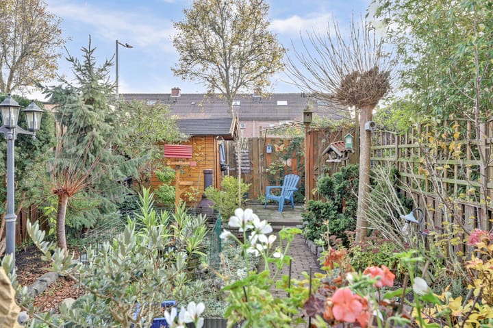 Photo 34 of Papaver 7