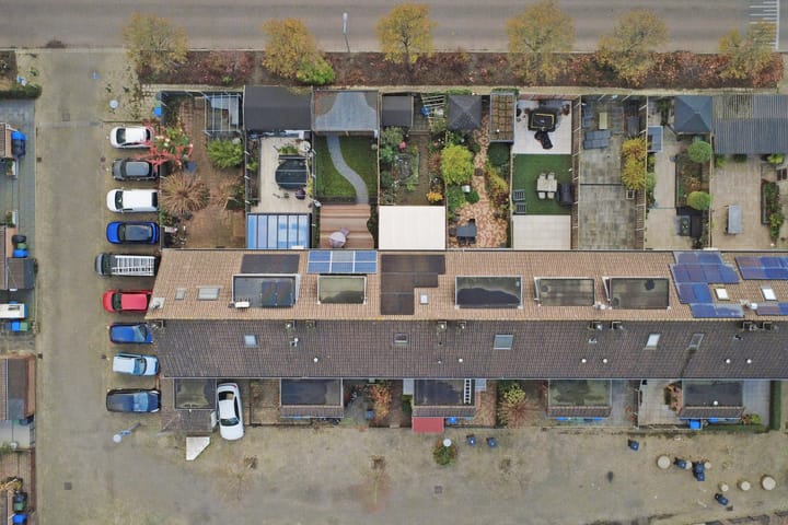 Photo 35 of Papaver 7