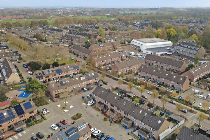 Photo 38 of Papaver 7