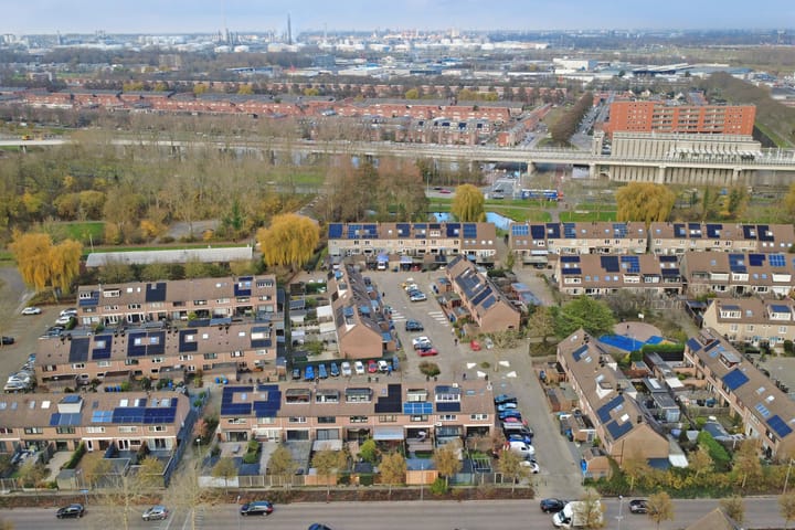 Photo 41 of Papaver 7