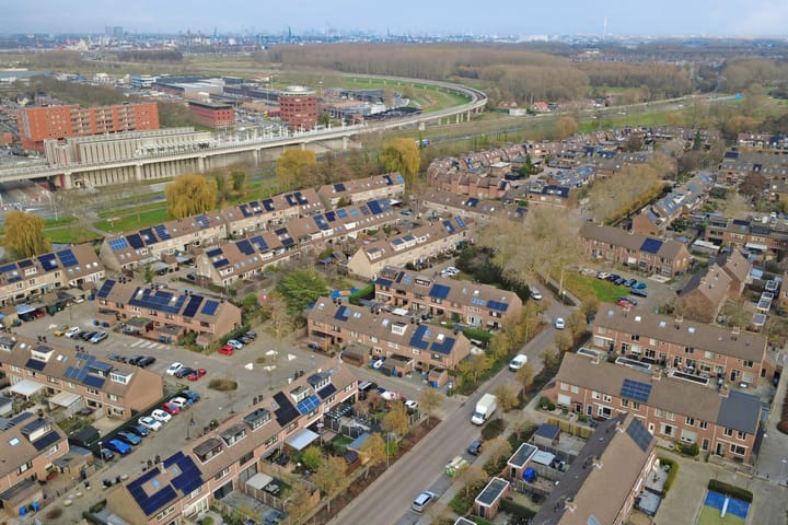 Photo 42 of Papaver 7