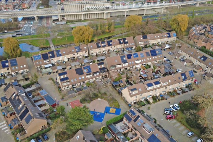 Photo 44 of Papaver 7