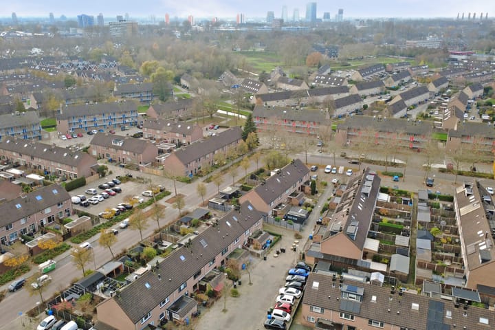 Photo 37 of Papaver 7