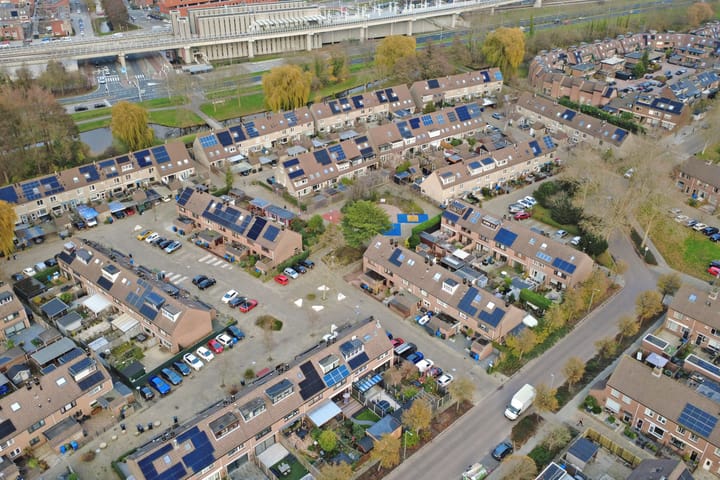 Photo 45 of Papaver 7