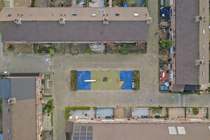 Photo 40 of Papaver 7