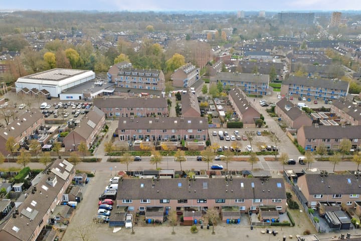 Photo 36 of Papaver 7