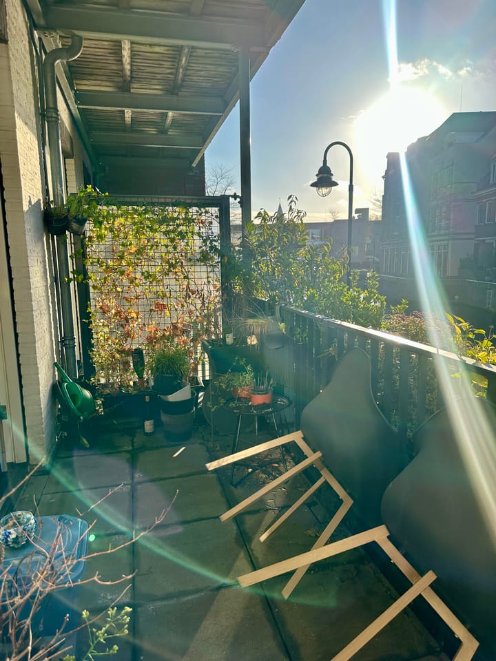 Foto 27 van Landstraat 217