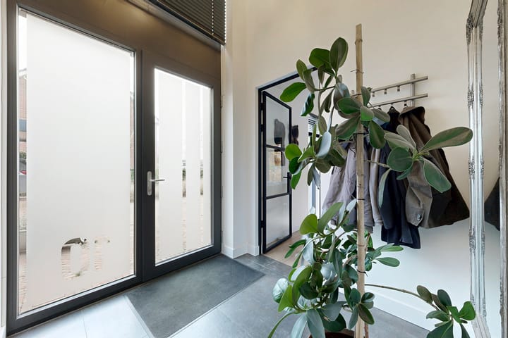 Photo 7 of Herfstvlinder 10