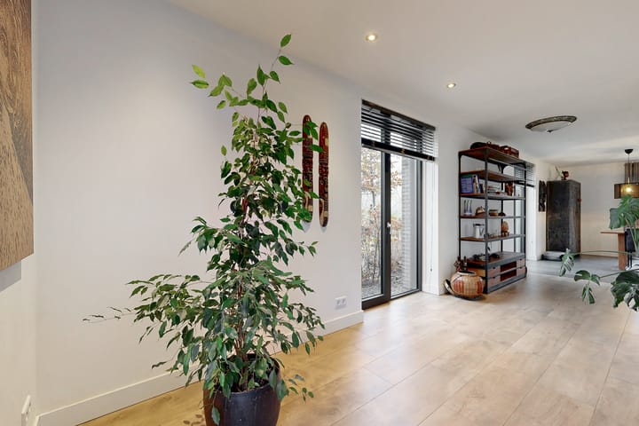 Photo 16 of Herfstvlinder 10