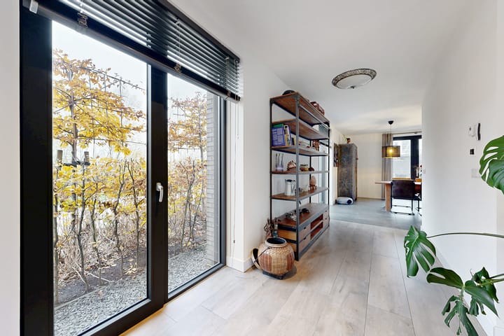 Photo 17 of Herfstvlinder 10