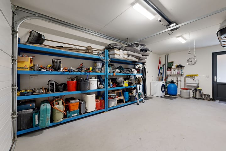 Photo 35 of Herfstvlinder 10