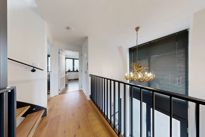 Photo 39 of Herfstvlinder 10