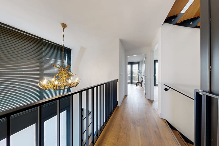 Photo 40 of Herfstvlinder 10