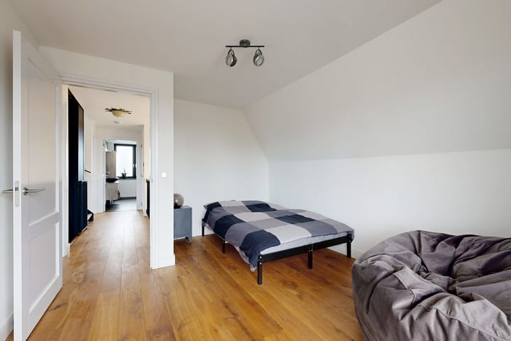 Photo 42 of Herfstvlinder 10