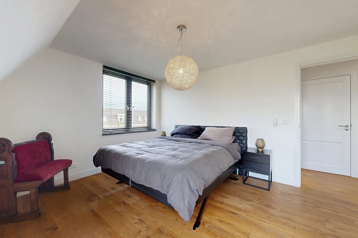 Photo 48 of Herfstvlinder 10