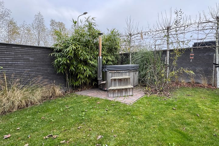 Photo 73 of Herfstvlinder 10