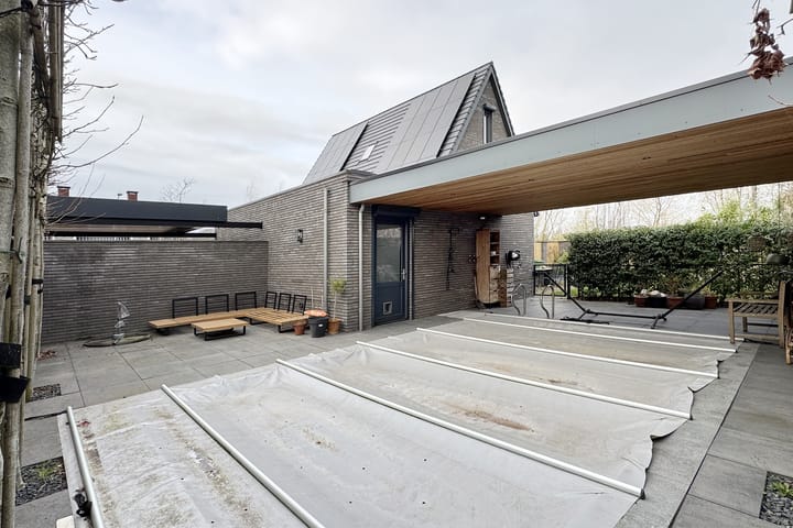 Photo 77 of Herfstvlinder 10