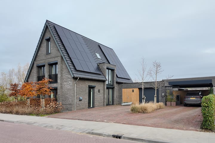 Photo 81 of Herfstvlinder 10