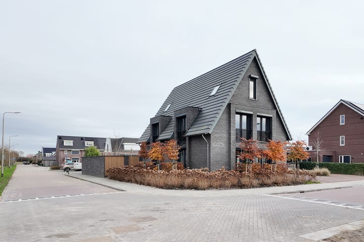 Photo 85 of Herfstvlinder 10