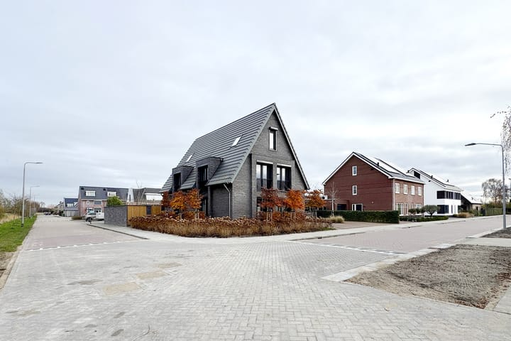 Photo 86 of Herfstvlinder 10