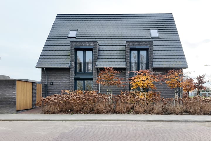 Photo 87 of Herfstvlinder 10