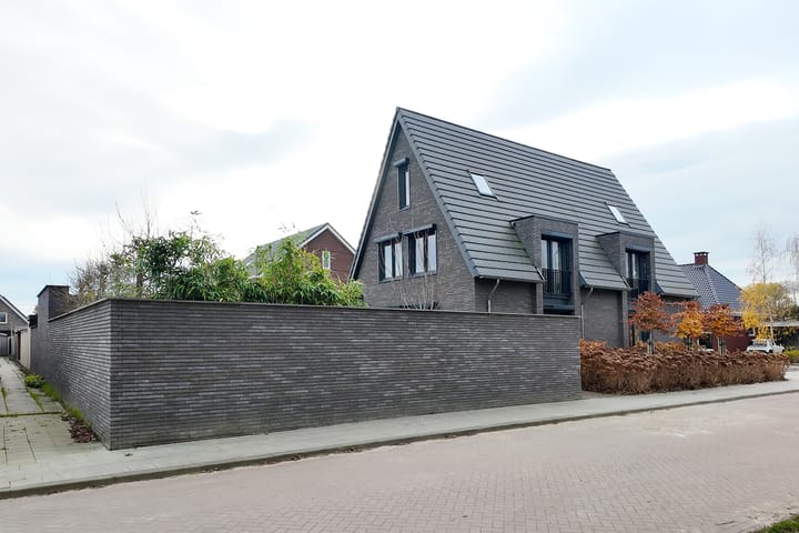 Photo 88 of Herfstvlinder 10