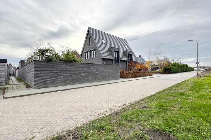 Photo 89 of Herfstvlinder 10